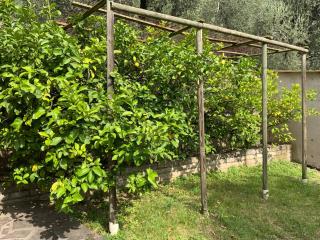 Villa dei Limoni - Malcesine - 9