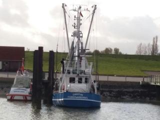 Ferienwohnung Nordseetraum - Tossenserdeich - 4