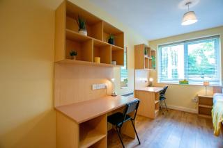 16 - Spacious Apartment with Parking - Galway - 1