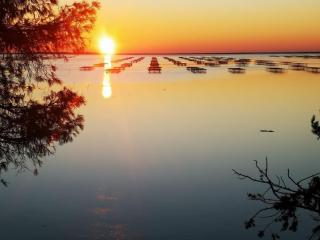 Les planètes du port - 2