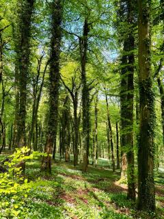 Upper Highview - Self Catering Apartment, fpventures Stroud - 7