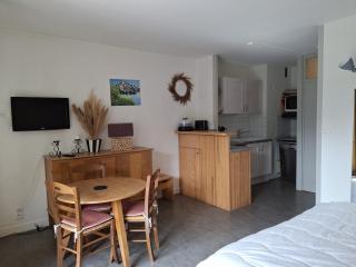 Studio accueillant, centre station, balcon, parking, WiFi - FR-1-512-117 - Brides-les-Bains - 9