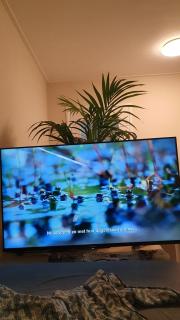Delightful - Purmerend - 3