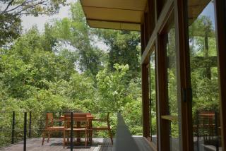 Wild Grass Nature Resort - Sigiriya - 2