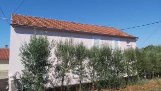 Apartments Tomas - Ugljan - 0