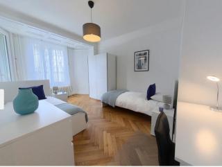 Lausanne City Center Apartments, Minutes Away from the Lake! AM53 - Lausana - 5