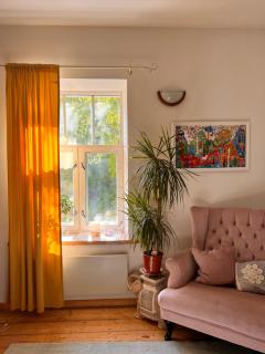 Viljandi kesklinna majake ja kodune minispa - 9