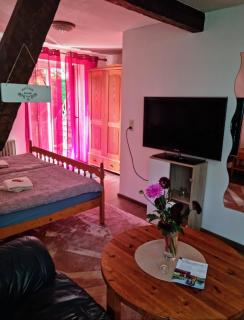 Panoramablick Hohenrode - 4