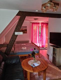 Panoramablick Hohenrode - 8