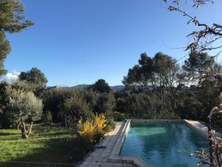 Belle maison piscine dans cadre verdoyant Vaucluse à 45min d'Aix et 55min de Marseille - Puget - 5