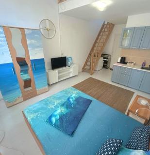 Apartament Pescăruș - Schitu - 9