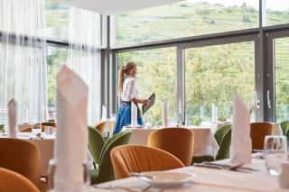 Steigenberger Hotel & Spa Krems - Krems an der Donau - 3