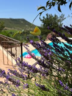Villa BELVENTO Provence Luxury Hideaway mit Pool exklusiv - Ventabren - 1