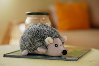 Hedgehog's Home - Ježeva kućica Free Parking - Sarajevo - 2