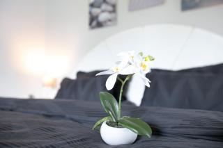 Nordsee-Ferienwohnung Halligland - Bredstedt - 4