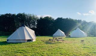 Yule Tree Campsite - 2
