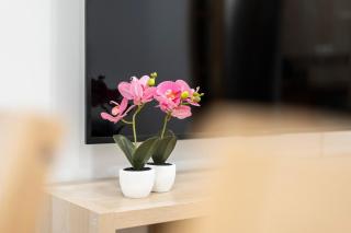 Espacioso y bien equipado apartamento cerca de la playa - 6