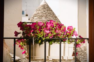 Il Trullo Moore Alberobello - 0