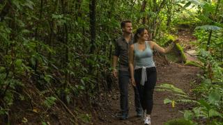 Ficus Sunset Suites - Monteverde Costa Rica - 7