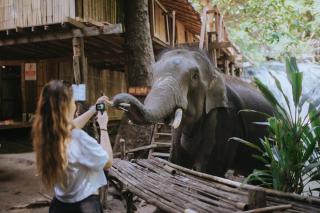 Temple of Elephants - Chiang Mai - 7