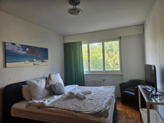 Bonito apartamento vacacional1 - Lausanne - 9