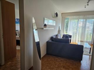 Bonito apartamento vacacional1 - Lausanne - 3