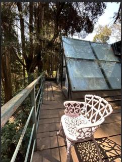 Shami's Woodside Villa - Ooty - 3