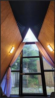 Shami's Woodside Villa - Ooty - 6