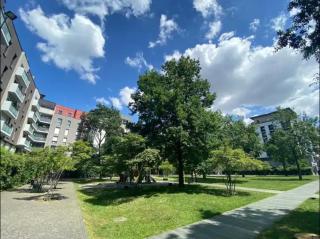 Stylish cosy appt - 4