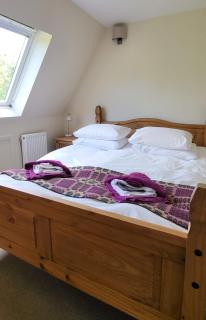 Plas Penaeldroch Manor - 0