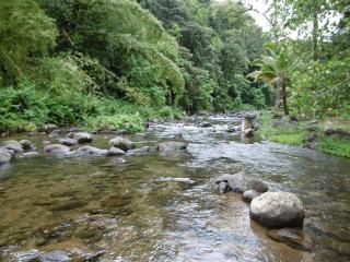 Parady - 8
