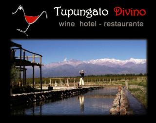 Tupungato Divino - Tupungato - 0