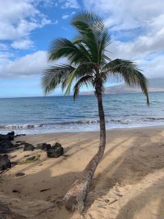 "no Worries" Kihei Beach Condo - Kihei - 0