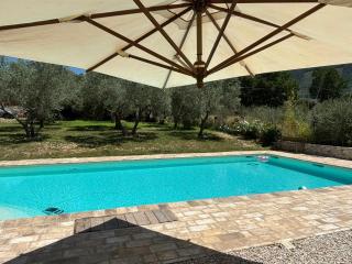 Uliveto Benedetti - 3