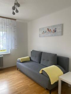 Apartma Tatjana - Žirovnica - 7