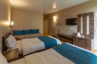 Kazbegi Cottages - Kazbegi - 4