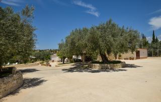 Tenuta Flaccavento - Chiaramonte Gulfi - 3