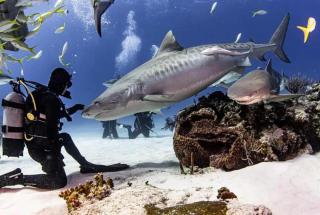 Simple house 5 beds 4 baths near Beach - 3