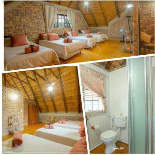 Ton & Trees - Marloth Park - 4