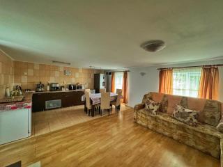 Casa Iancu - Sălaşu de Sus - 9