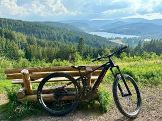 FeWo Fuchs Saig - Lenzkirch - 8