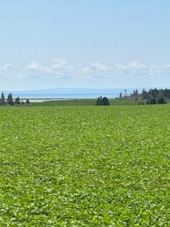 Welcome to Pinette House - Belle River - 1