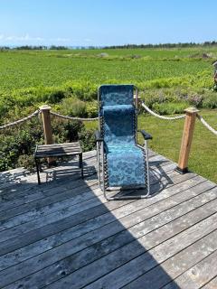 Welcome to Pinette House - Belle River - 5