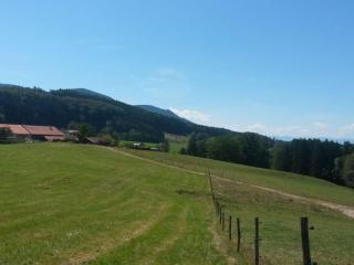 Richter Comfortable holiday residence - Wackersberg - 5