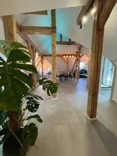 Luxusní podkrovní Apartmán - 5