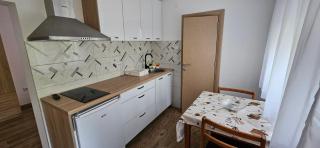 Krasojevića kuća - premium sobe i apartmani - Gornja Trepča - 8