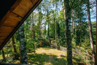 Domek nad jeziorem - Lubkowo - 7