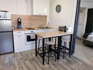 Bel appartement en face de la pépinere de Nancy Stanislas - Nancy - 1