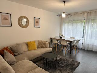 Annecy spacious 3 bedrooms apartment - Annecy - 0