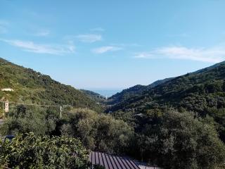 La casetta dei 4 gatti - 0